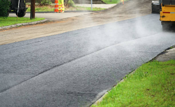 Best Driveway Paving Contractor  in Waynesboro, MS